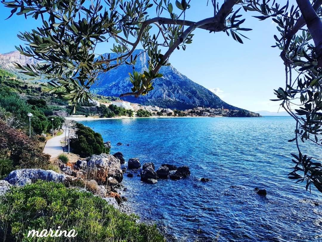 Apartmani Marina Gradac Gradac  Bagian luar foto